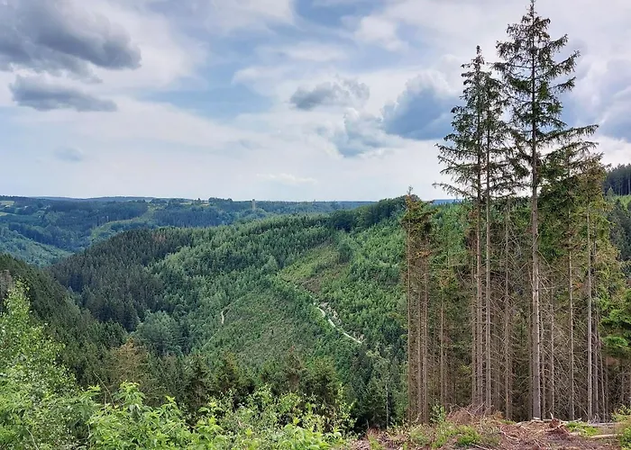 Ferienhaus Holiday Near With Sauna Bubble Bath Malmedy